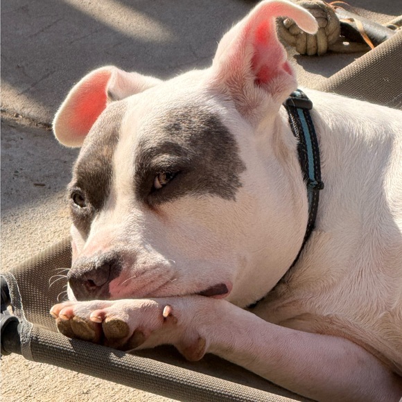 materialguy97